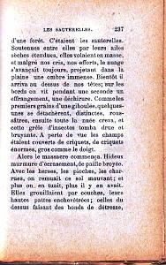 les sauterelles 07